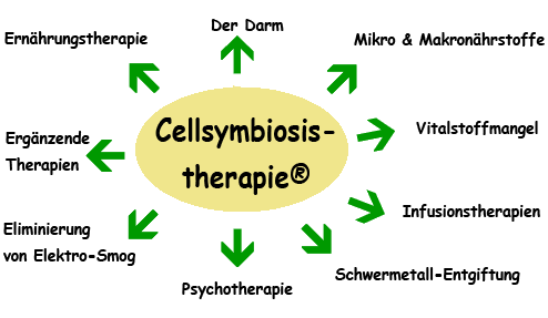 Behandlungskonzept Cellsymbiosistherapie